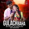 About Gulach Baha Song